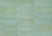 Aruba Moss Gloss 2x6 | Marino Tile NY