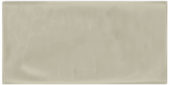 Autumn Tan 3X6 Glossy | Marino Tile NY