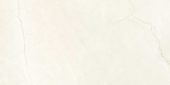 Avorio Crema 12x24 | Marino Tile NY