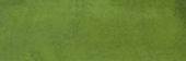 Barcelona 2x6" Olive | Marino Tile NY