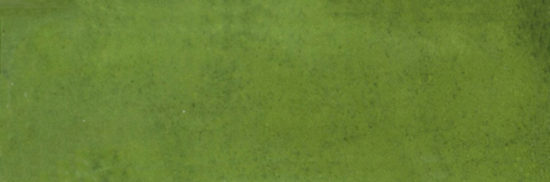 Barcelona 2x6" Olive | Marino Tile NY