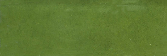 Barcelona 2x6" Olive | Marino Tile NY