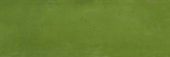 Barcelona 2x6" Olive | Marino Tile NY