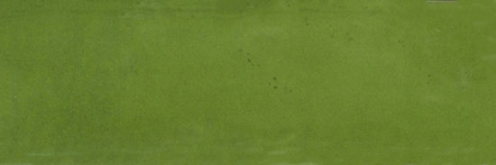 Barcelona 2x6" Olive | Marino Tile NY