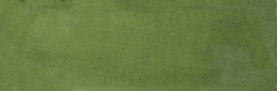 Barcelona 2x6" Olive | Marino Tile NY