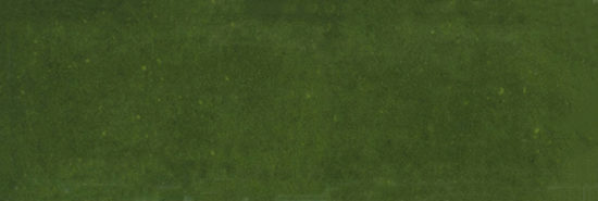 Barcelona 2x6" Olive | Marino Tile NY