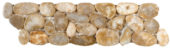 Beige Sliced Polished Pebble Interlocking Border | Marino Tile NY