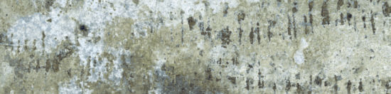Brix 2x10 Mud | Marino Tile NY