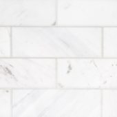 Camellia Field Tile 3” x 9” | Marino Tile NY