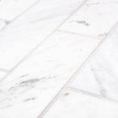 Camellia Field Tile 3” x 9” | Marino Tile NY