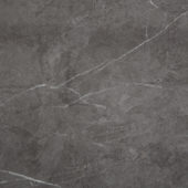 Carpantian Matte Wall Panel 48x120 | Marino Tile NY