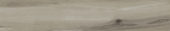 Champlain Grey 6X36 | Marino Tile NY