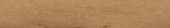 Cognac Oak | Marino Tile NY