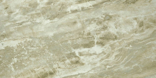 Congo 12X24 | Marino Tile NY