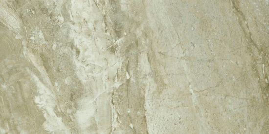 Congo 12X24 | Marino Tile NY