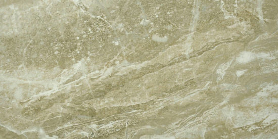 Congo 12X24 | Marino Tile NY