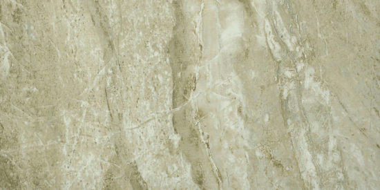 Congo 12X24 | Marino Tile NY