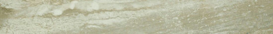 Congo 3X24 Sb | Marino Tile NY