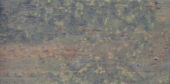 Copper 12x24 | Marino Tile NY