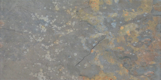 Copper 12x24 | Marino Tile NY
