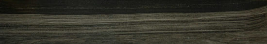 Deep Black 6X36 | Marino Tile NY