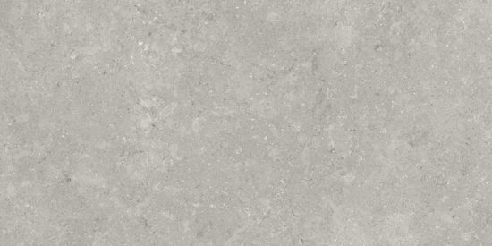 Denver 12X24F Graphite Matte | Marino Tile NY