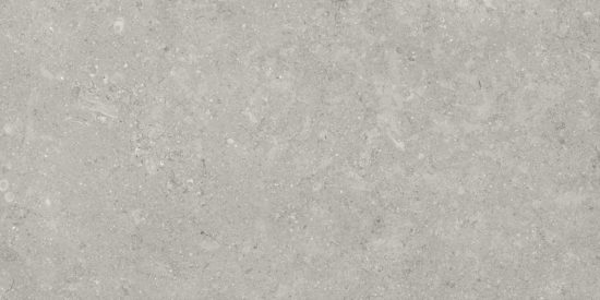 Denver 12X24F Graphite Matte | Marino Tile NY