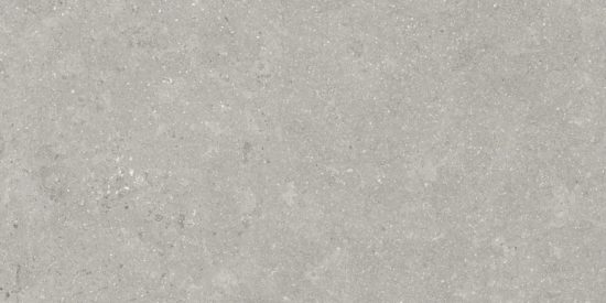 Denver 12X24F Graphite Matte | Marino Tile NY