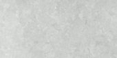 Denver 12X24F Platinum Matte | Marino Tile NY
