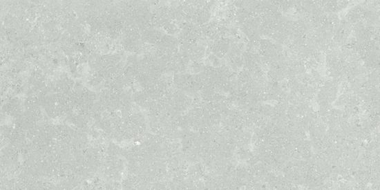 Denver 12X24F Platinum Matte | Marino Tile NY
