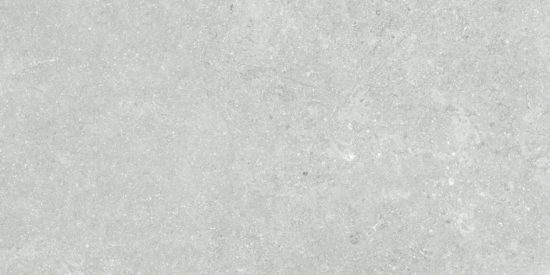 Denver 12X24F Platinum Matte | Marino Tile NY