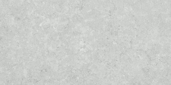Denver 12X24F Platinum Matte | Marino Tile NY