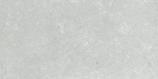 Denver 12X24F Platinum Matte | Marino Tile NY