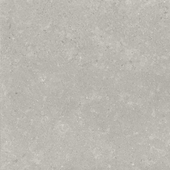 Denver 20X20F Graphite Matte | Marino Tile NY