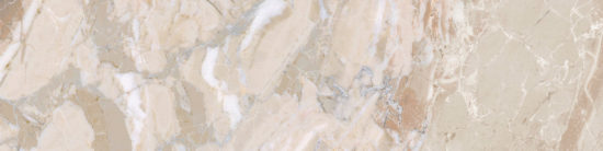 Dynasty Almond 3X12 Bullnose | Marino Tile NY