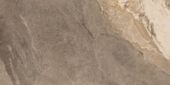 Dynasty Taupe 12X24 | Marino Tile NY