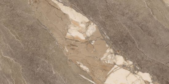 Dynasty Taupe 12X24 | Marino Tile NY