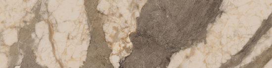 Dynasty Taupe 3X12 Bullnose | Marino Tile NY