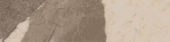 Dynasty Taupe 3X12 Bullnose | Marino Tile NY