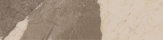 Dynasty Taupe 3X12 Bullnose | Marino Tile NY