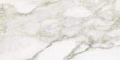 Florence 12X24F Calacatta Matte | Marino Tile NY