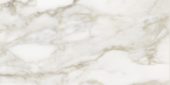 Florence 12X24F Calacatta Matte | Marino Tile NY