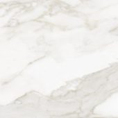 Florence 13X13F Calacatta Matte | Marino Tile NY