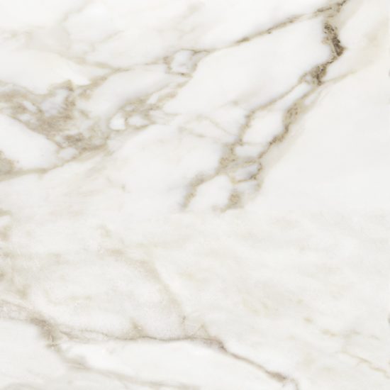 Florence 13X13F Calacatta Matte | Marino Tile NY