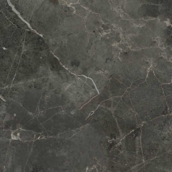 Florence 20X20F Carbon Matte | Marino Tile NY
