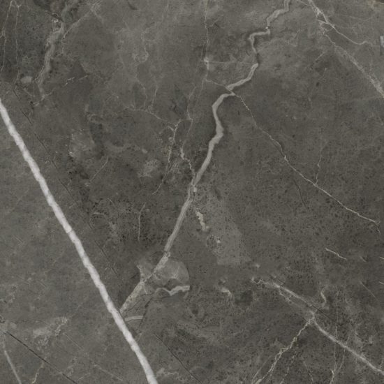 Florence 20X20F Carbon Matte | Marino Tile NY