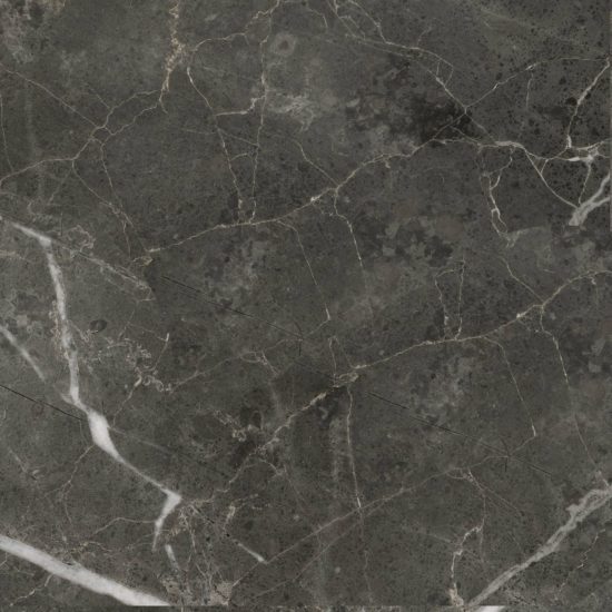 Florence 20X20F Carbon Matte | Marino Tile NY