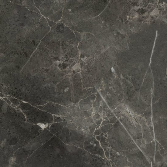 Florence 20X20F Carbon Matte | Marino Tile NY