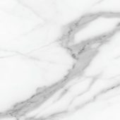 Florence 20X20F Statuario Matte | Marino Tile NY