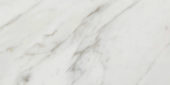 Golden Calacatta Matte 12X24 | Marino Tile NY